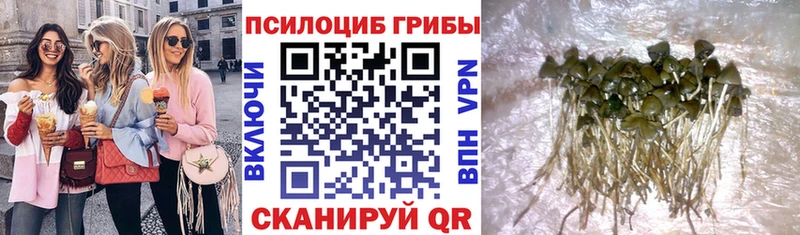 блэк спрут ТОР купить наркотик Верхоянск Псилоцибиновые грибы Cubensis